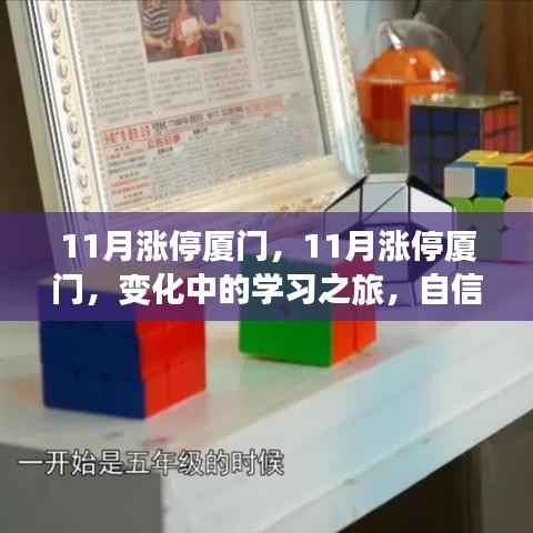 11月厦门涨停背后的学习之旅,自信与成就感的源泉