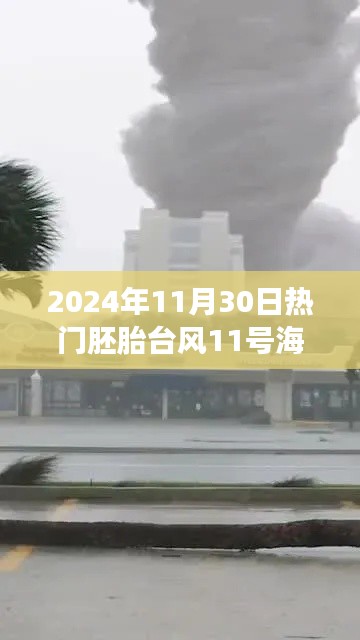 风云际会,胚胎台风11号海峡的历史性时刻记录