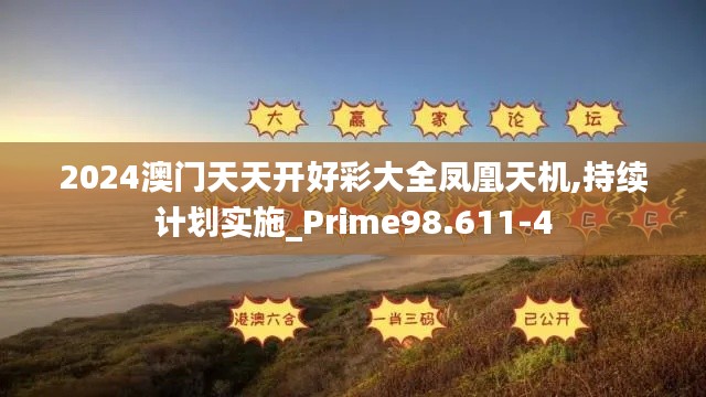 2024澳门天天开好彩大全凤凰天机,持续计划实施_Prime98.611-4