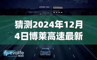 公司概况 第449页