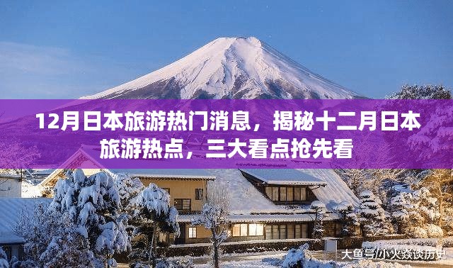 揭秘十二月日本旅游三大看点与热点消息