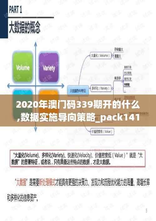 2020年澳门码339期开的什么,数据实施导向策略_pack141.177