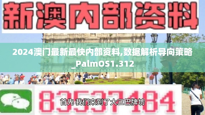 2024澳门最新最快内部资料,数据解析导向策略_PalmOS1.312