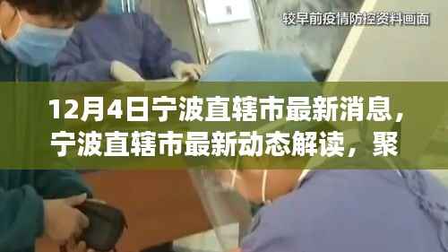 宁波直辖市最新动态解读,聚焦12月4日新消息与个人观点洞察