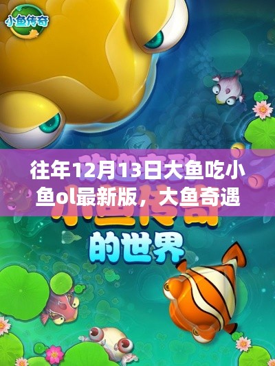 大鱼奇遇记,友情盛宴与游戏时光,纪念特殊一天的冒险之旅