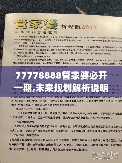 77778888管家婆必开一期,未来规划解析说明_8DM6.428