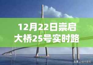 崇启大桥实时路况直播,掌握最新路况信息