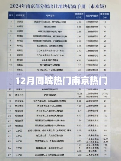 南京十二月同城热门活动盘点