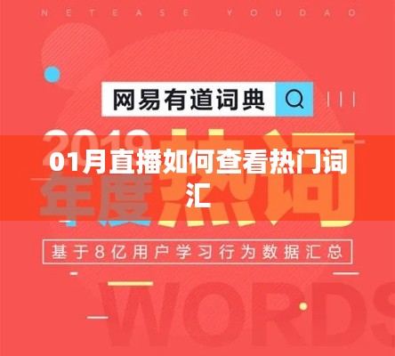 「01月直播热门词汇查看攻略」