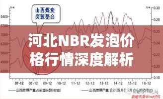 河北NBR发泡价格行情深度解析