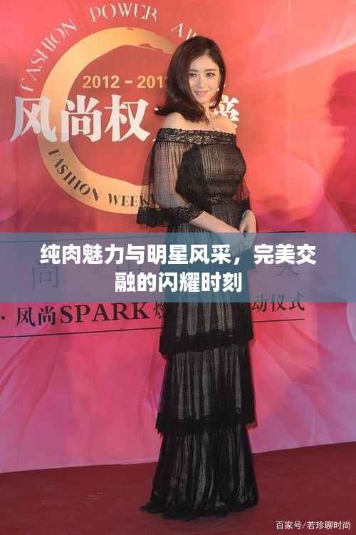 纯肉魅力与明星风采，完美交融的闪耀时刻
