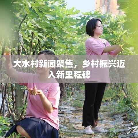 大水村新闻聚焦，乡村振兴迈入新里程碑