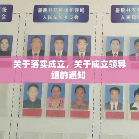 关于落实成立，关于成立领导组的通知 