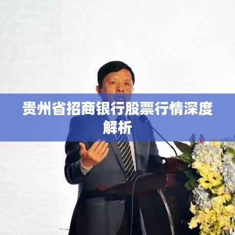 贵州省招商银行股票行情深度解析